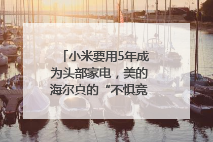 小米要用5年成为头部家电，美的海尔真的“不惧竞争”？｜热财经