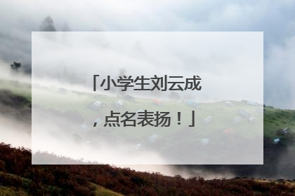小学生刘云成，点名表扬！