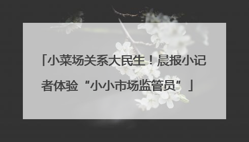 小菜场关系大民生！晨报小记者体验“小小市场监管员”