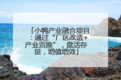 小鸭产业融合项目：通过“厂区改造+产业置换”，盘活存量，增值增效