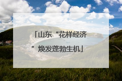 山东“花样经济”焕发蓬勃生机