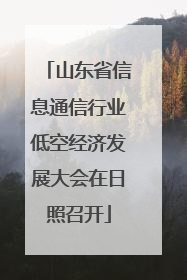 山东省信息通信行业低空经济发展大会在日照召开