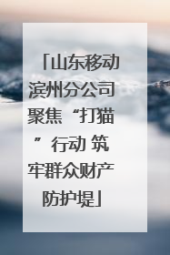 山东移动滨州分公司聚焦“打猫”行动 筑牢群众财产防护堤
