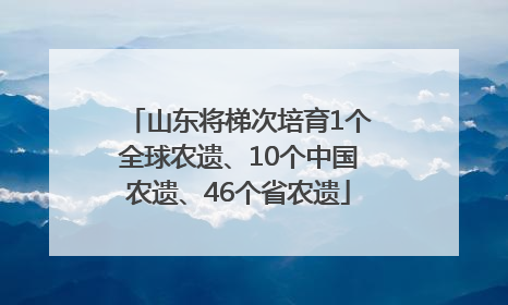 山东将梯次培育1个全球农遗、10个中国农遗、46个省农遗
