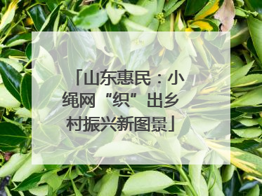 山东惠民：小绳网“织”出乡村振兴新图景