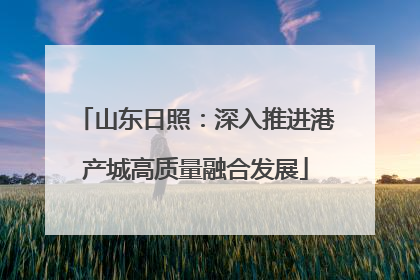 山东日照：深入推进港产城高质量融合发展