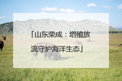 山东荣成：增殖放流守护海洋生态