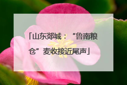山东郯城：“鲁南粮仓”麦收接近尾声