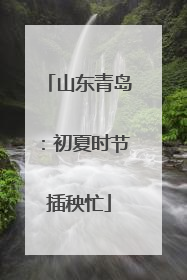 山东青岛：初夏时节插秧忙