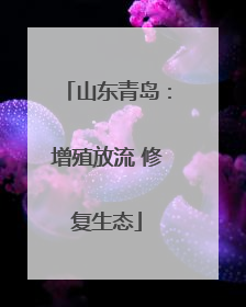 山东青岛：增殖放流 修复生态