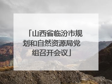 山西省临汾市规划和自然资源局党组召开会议