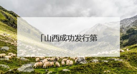山西成功发行第四批106.79亿元政府债券