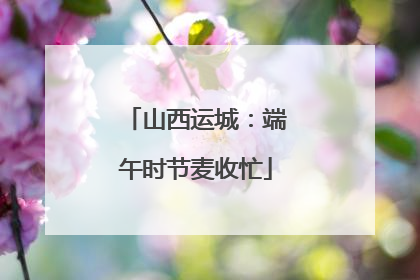 山西运城：端午时节麦收忙