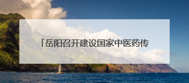 岳阳召开建设国家中医药传承创新发展试验区推进会
