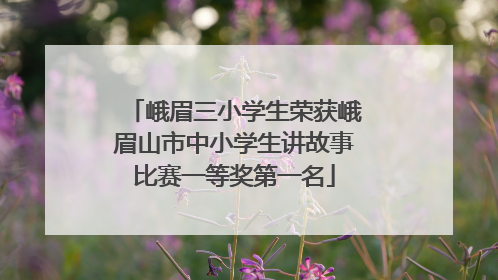 峨眉三小学生荣获峨眉山市中小学生讲故事比赛一等奖第一名