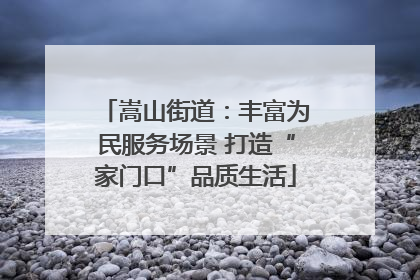 嵩山街道：丰富为民服务场景 打造“家门口”品质生活