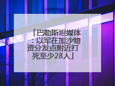 巴勒斯坦媒体：以军在加沙物资分发点附近打死至少28人