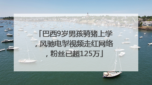 巴西9岁男孩骑猪上学，风驰电掣视频走红网络，粉丝已超125万
