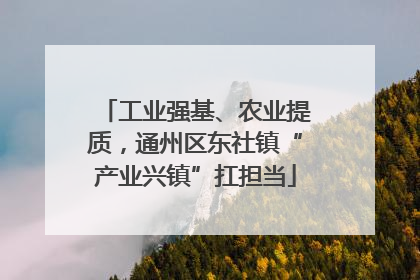 工业强基、农业提质，通州区东社镇“产业兴镇”扛担当