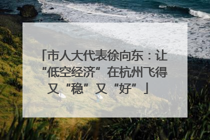 市人大代表徐向东：让“低空经济”在杭州飞得又“稳”又“好”