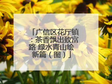 广信区花厅镇：茶香飘出致富路 绿水青山绘新篇（图）