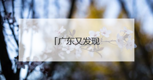 广东又发现恐龙足迹！