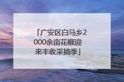 广安区白马乡2000余亩花椒迎来丰收采摘季