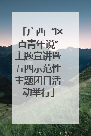 广西“区直青年说”主题宣讲暨五四示范性主题团日活动举行