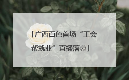 广西百色首场“工会帮就业”直播落幕
