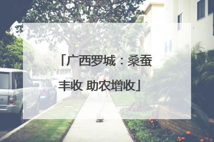 广西罗城：桑蚕丰收 助农增收