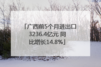 广西前5个月进出口3236.4亿元 同比增长14.8%