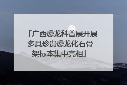 广西恐龙科普展开展 多具珍贵恐龙化石骨架标本集中亮相