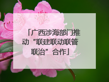 广西涉海部门推动“联建联动联管联治”合作