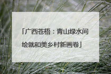 广西苍梧：青山绿水间绘就和美乡村新画卷