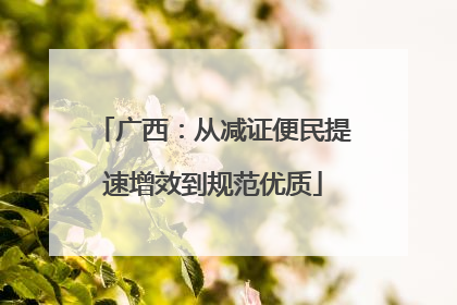 广西：从减证便民提速增效到规范优质