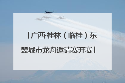 广西·桂林（临桂）东盟城市龙舟邀请赛开赛