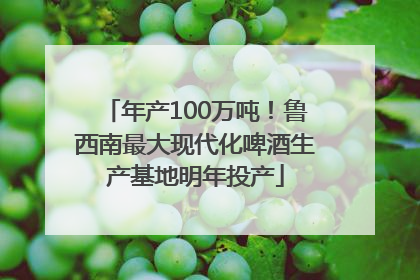 年产100万吨！鲁西南最大现代化啤酒生产基地明年投产