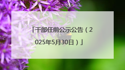 干部任前公示公告（2025年5月30日）