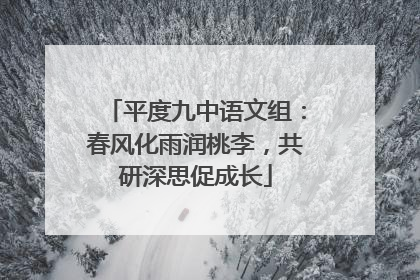 平度九中语文组：春风化雨润桃李，共研深思促成长