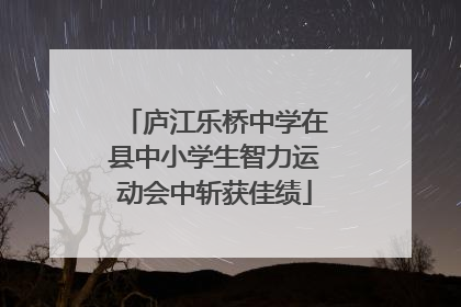 庐江乐桥中学在县中小学生智力运动会中斩获佳绩
