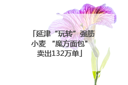 延津“玩转”强筋小麦 “魔方面包”卖出132万单