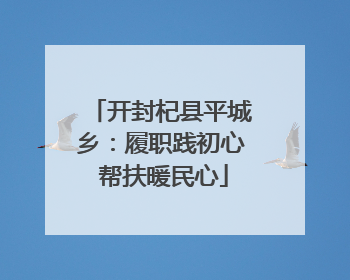 开封杞县平城乡：履职践初心 帮扶暖民心