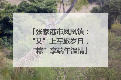 张家港市凤凰镇：“艾”上军旅岁月，“粽”享端午温情