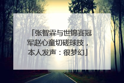 张智霖与世锦赛冠军赵心童切磋球技，本人发声：很梦幻