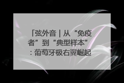 弦外音｜从“免疫者”到“典型样本”：葡萄牙极右翼崛起背后的欧洲困局
