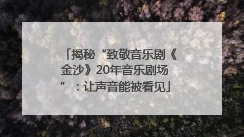 揭秘“致敬音乐剧《金沙》20年音乐剧场”：让声音能被看见