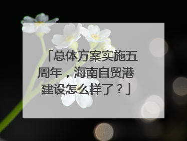 总体方案实施五周年，海南自贸港建设怎么样了？
