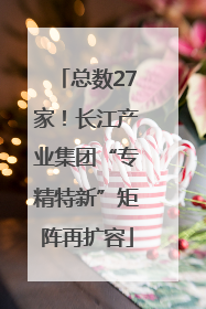 总数27家！长江产业集团“专精特新”矩阵再扩容