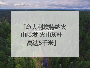意大利埃特纳火山喷发 火山灰柱高达5千米