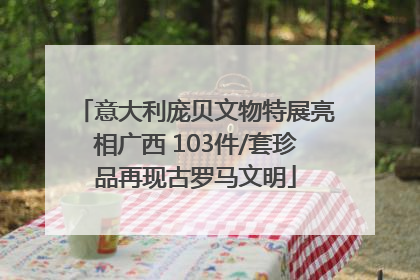 意大利庞贝文物特展亮相广西 103件/套珍品再现古罗马文明